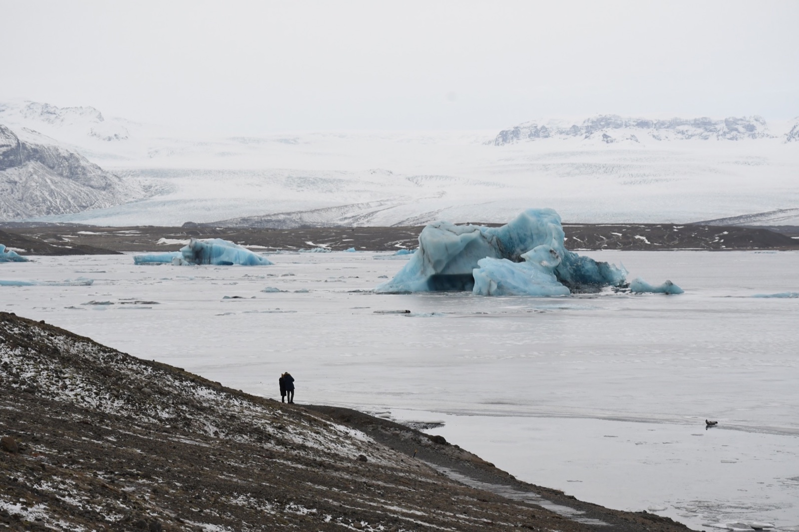 《ARCTIC》
