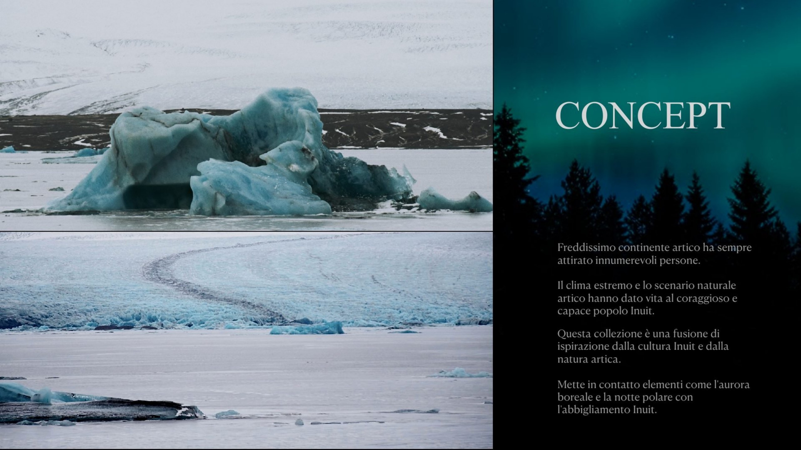 ARCTIC 第 4 页