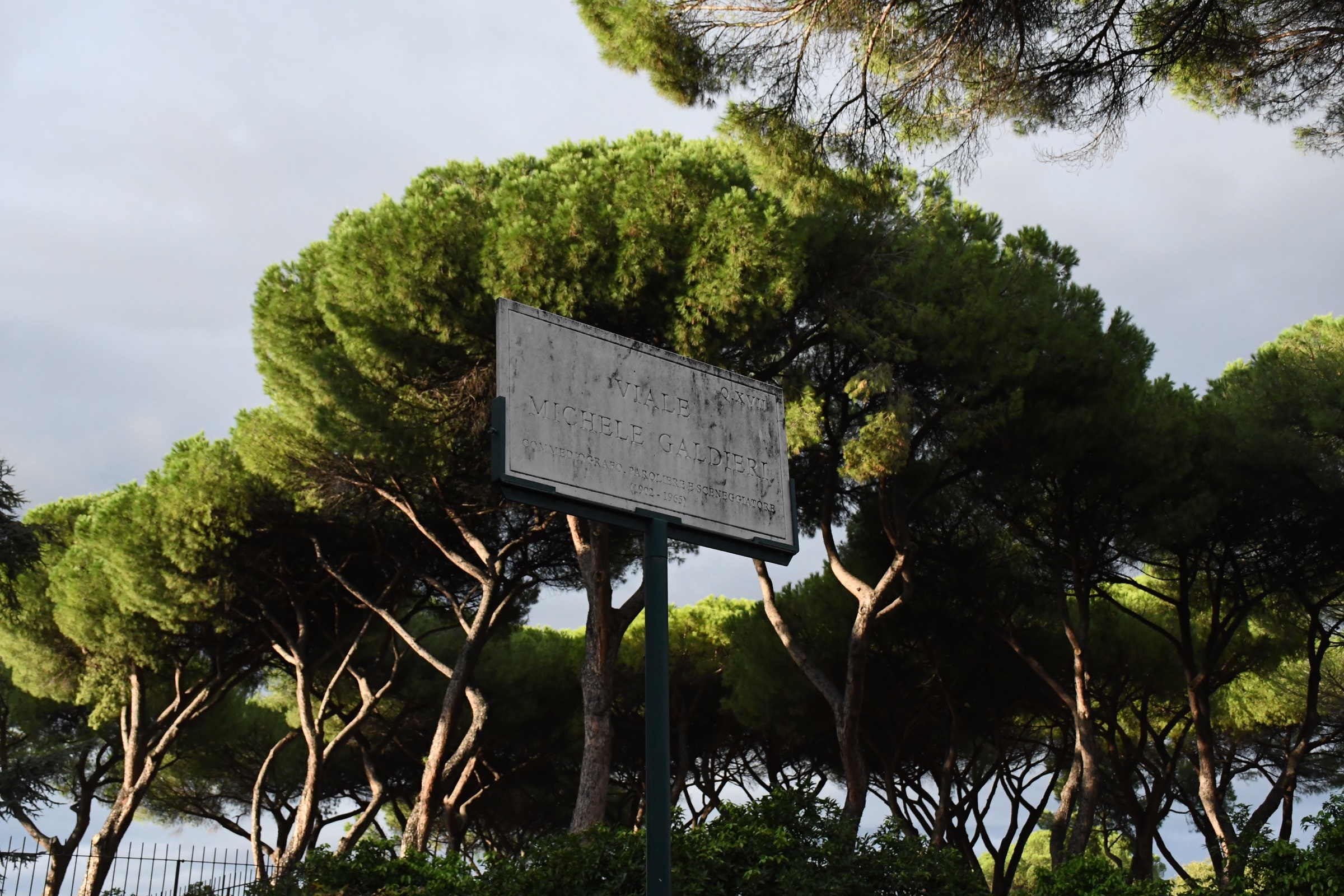 Pine trees and the Via Michelangelo sign in Rome
