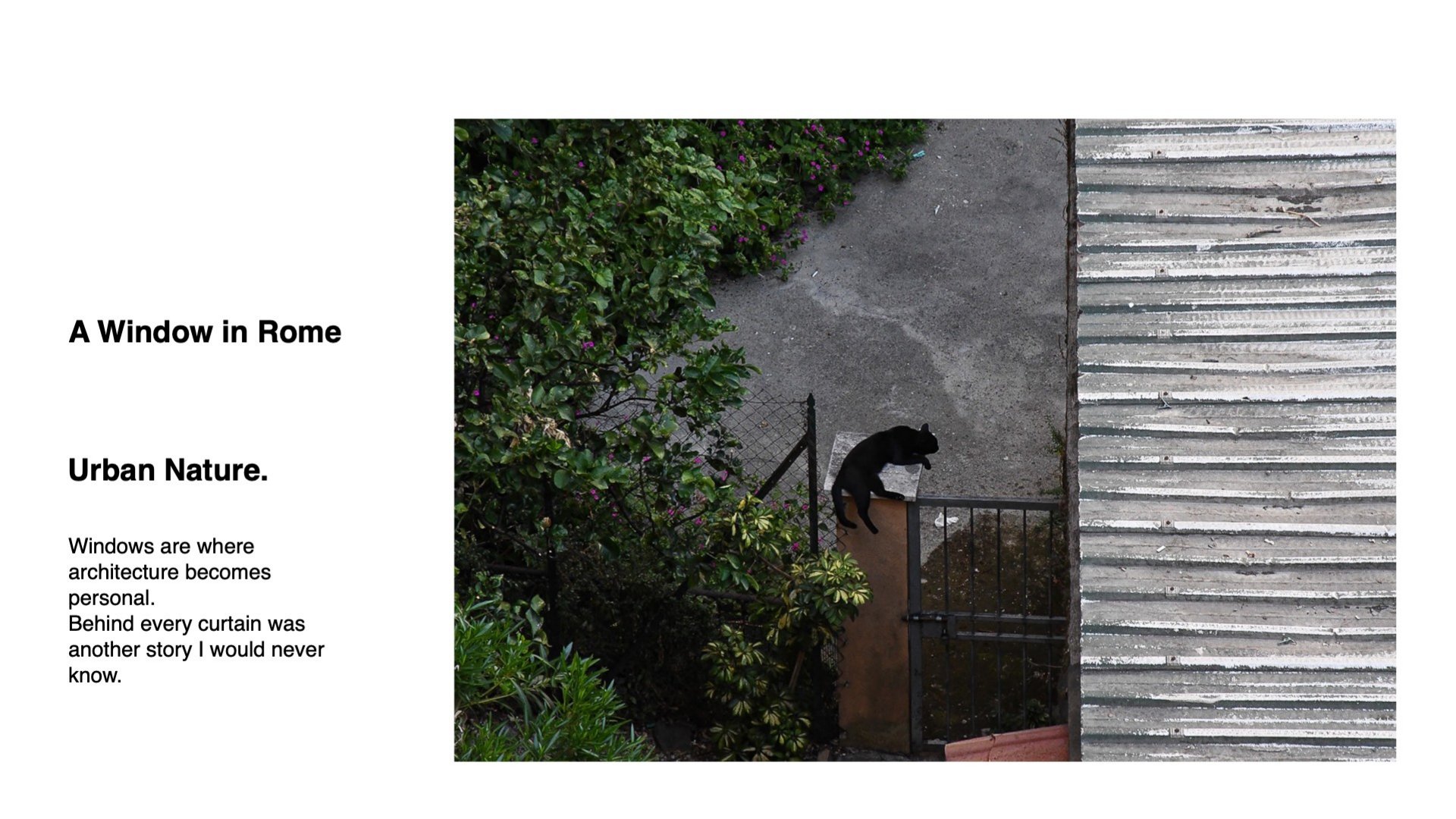 Life in Rome, page 5